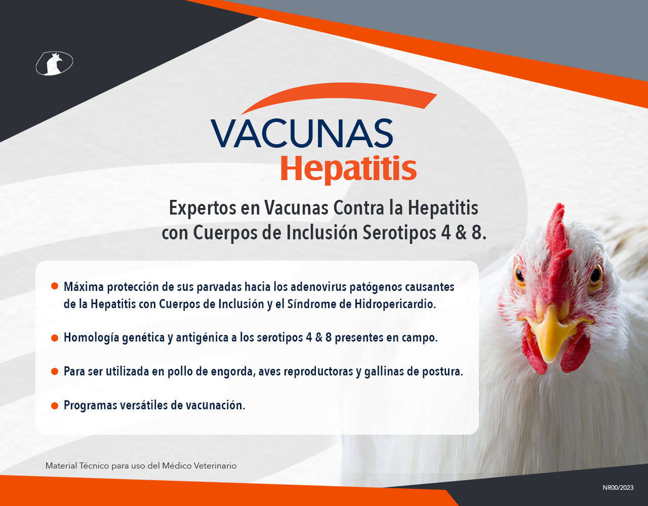 hepatitis 4/8 vacuna emulsionada